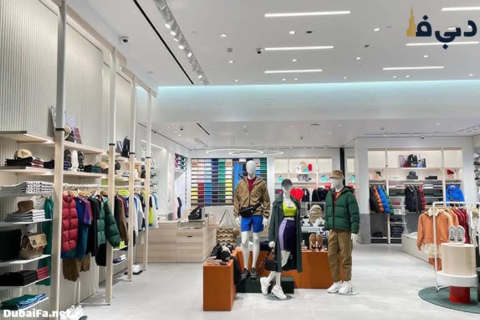 شعبه لاکوست