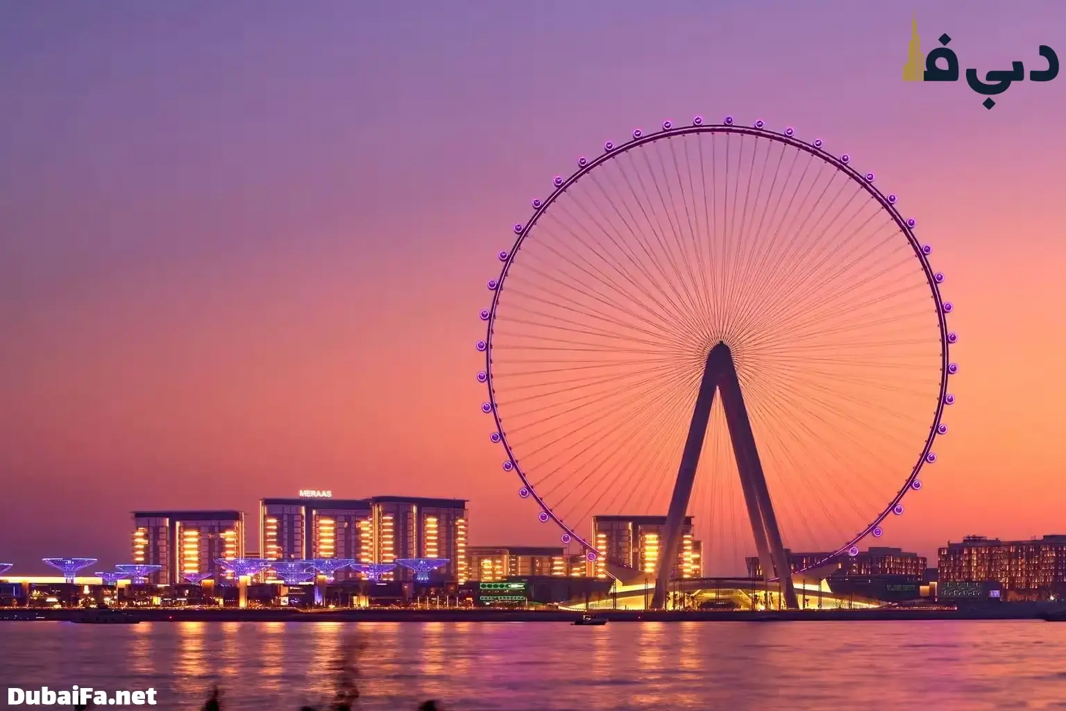 چرخ و فلک معروف دبی