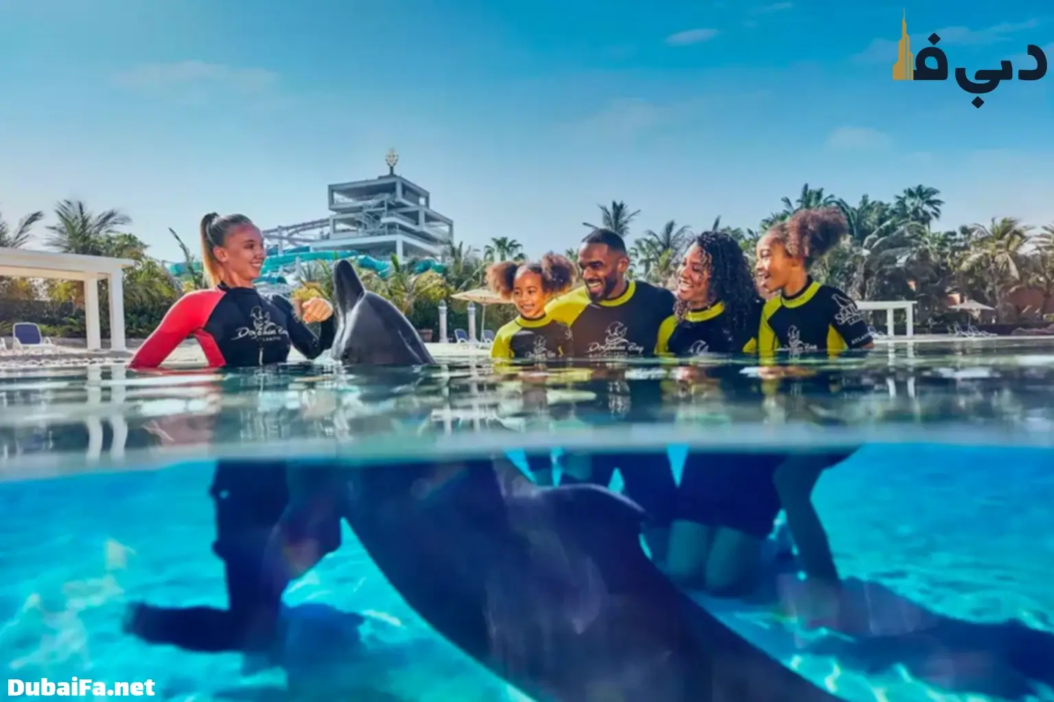 خلیج دلفین ها