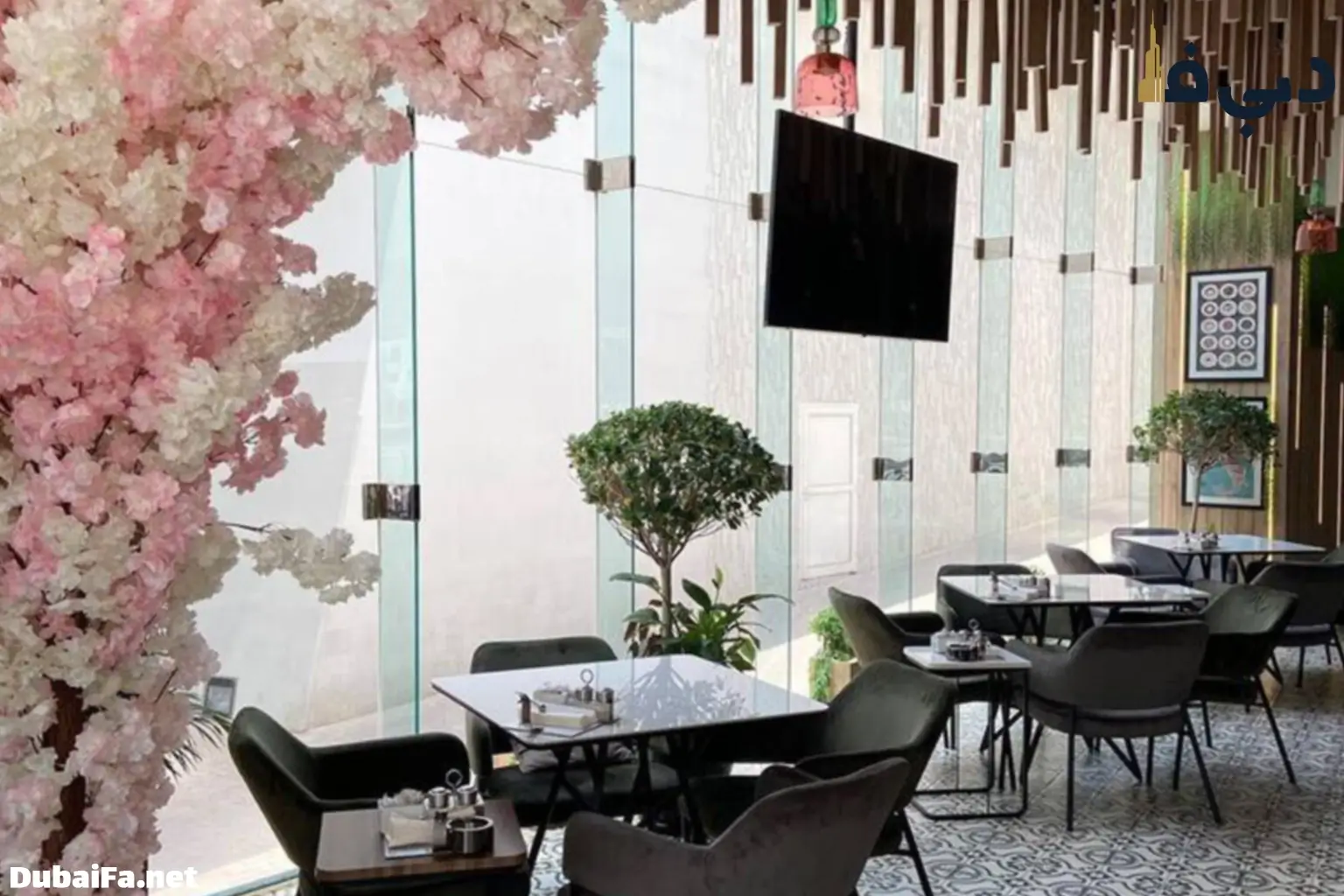 کافه نارگیلجی دبی