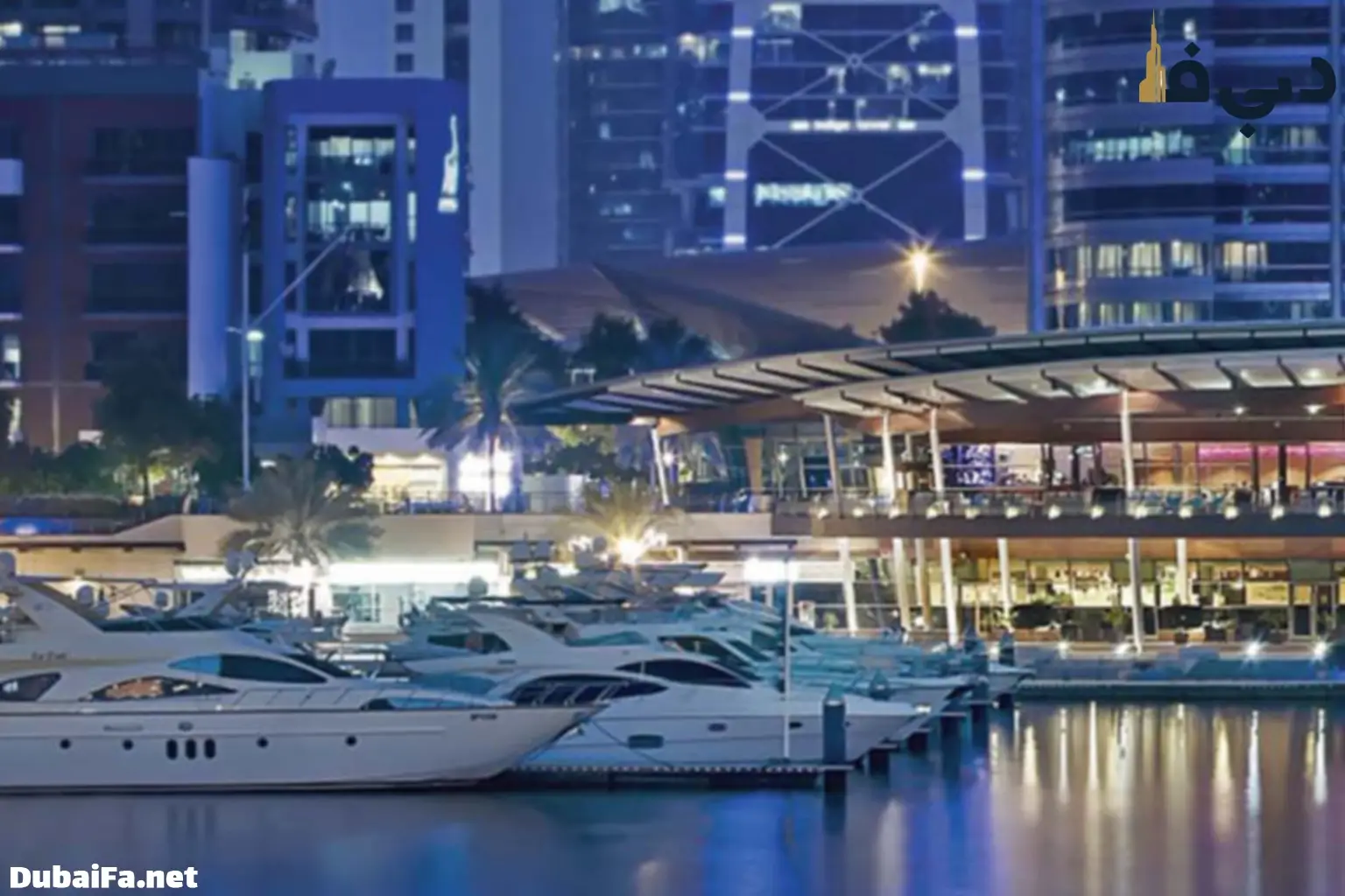 باشگاه قایقرانی و یات سواری در دبی مارینا